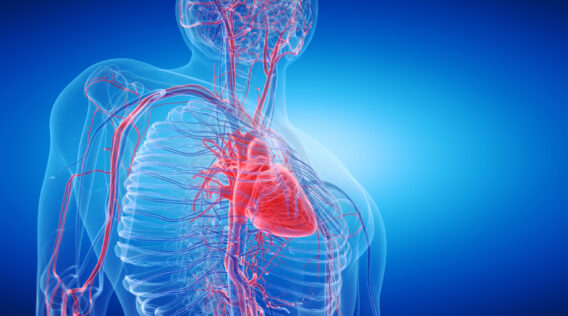 SFOG Webinar Series: Arterez – Preventing and Curing Cardiovascular Disease