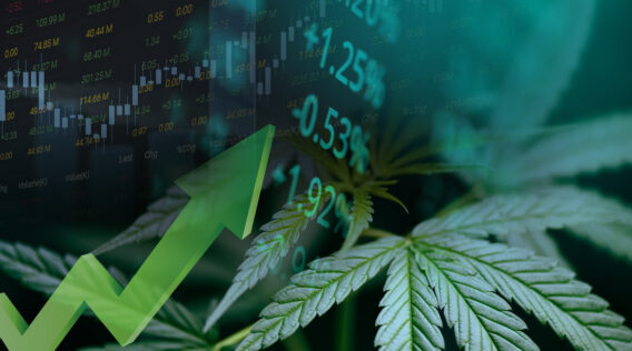 SFOG Webinar Series: The Panther Group – De-Risking Cannabis Investments