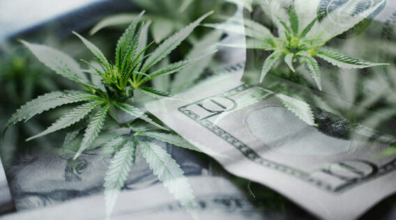 SFOG Webinar Series: Chicago Atlantic Group – A Unique Secured Direct Lending Strategy