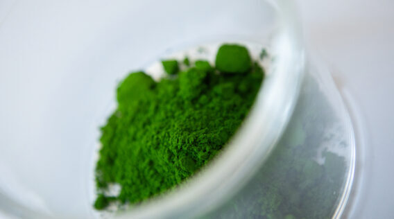 SFOG Webinar Series: Axitan – Removing Antibiotics From Livestock & Aquaculture Production