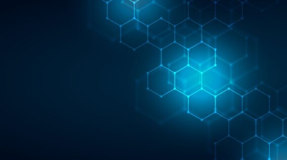 Guidance for Technology Startup Portfolio Companies