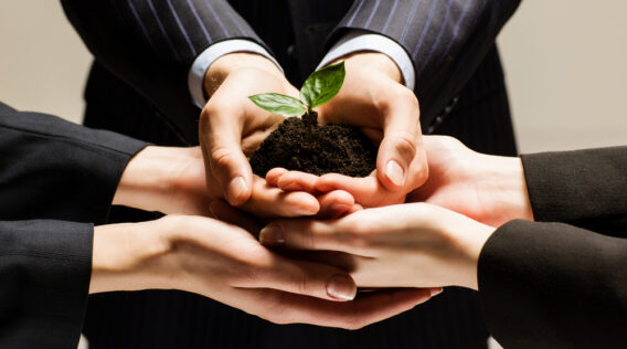 Maximizing Investment Opportunities: BlackRock’s Strategic Partnerships with Family Offices in the Pursuit of Long-Term Growth