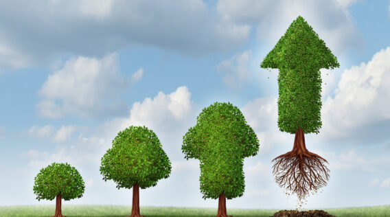 Unlocking Long-Term Wealth: The Crucial Role of Family Offices and Governance Practices