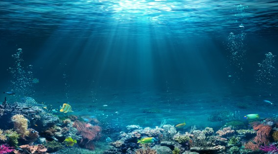 Investing Principles for a Sustainable Blue Economy