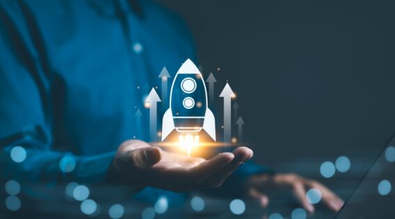 The Value of Venture Capitalists and Investors as Mentors in Startup Ecosystems