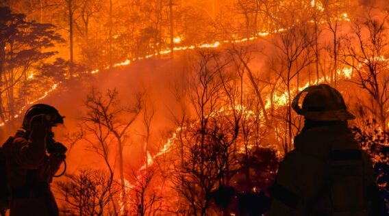 Real Estate Family Offices in Los Angeles: Navigating the Impact of Wildfires